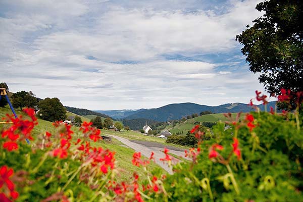 Friedlebauernhof - Ferienwohnungen Hofsgrund Schwarzwald