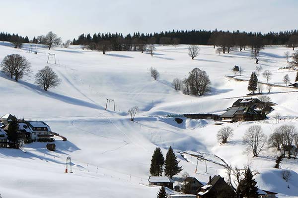Friedlebauernhof - Ferienwohnungen Hofsgrund Schwarzwald