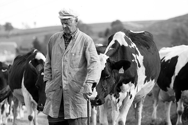 Friedlebauernhof - Ferienwohnungen Hofsgrund Schwarzwald