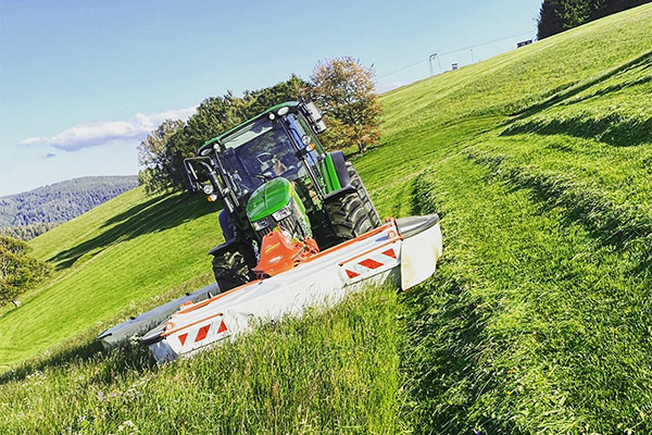 Friedlebauernhof - Ferienwohnungen Hofsgrund Schwarzwald