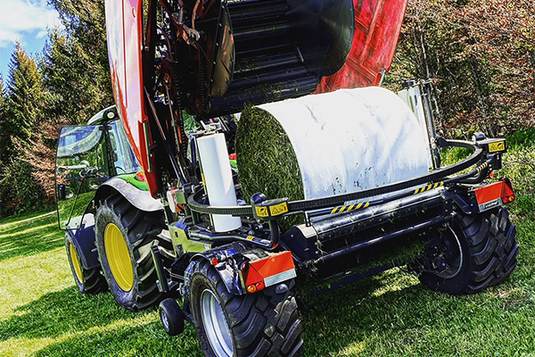 Friedlebauernhof - Ferienwohnungen Hofsgrund Schwarzwald