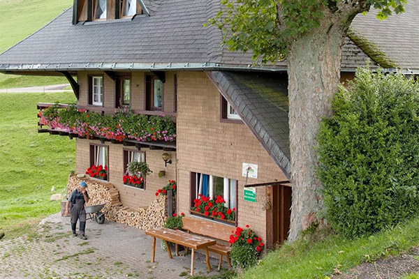Friedlebauernhof - Ferienwohnungen Hofsgrund Schwarzwald