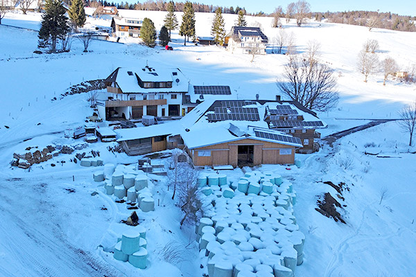 Friedlebauernhof - Ferienwohnungen Hofsgrund Schwarzwald