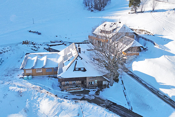 Friedlebauernhof - Ferienwohnungen Hofsgrund Schwarzwald