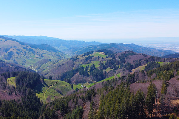Ausblick vom Schauinsland